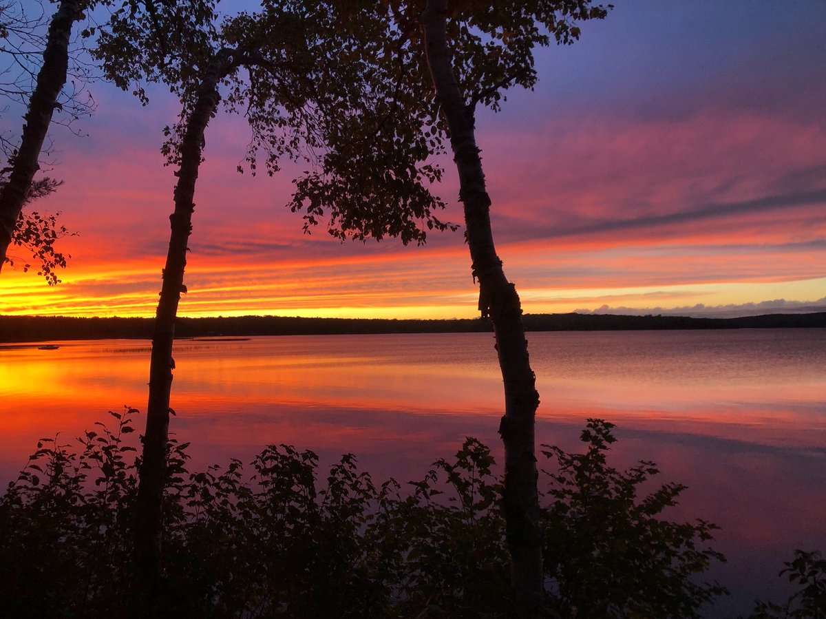 InnNorthridge's tweet photo. Happy FRIYAY from our sunset to yours! ๐
#sunset #insane #lakebernard #northridgeinn #sunsetfordays #september #getmenorth #winning #sunset_love #friyay #weekendvibes #weddingweekend #muskoka #resortlife https://t.co/HRxzlLpsYY