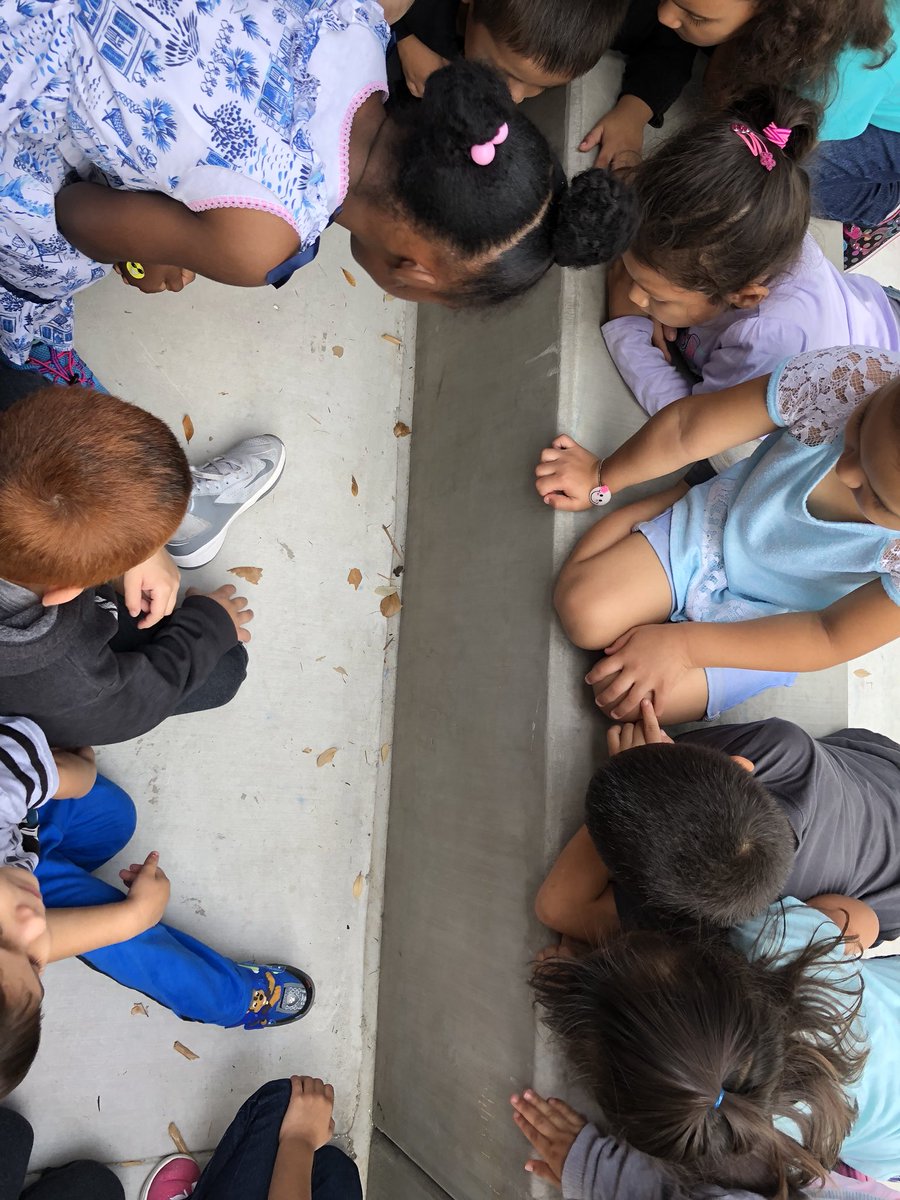 Cubcare02's tweet photo. We watched a frog hop to safety during recess! They learned that frogs eat mosquitoes and donβt bite πΈ #PVLionpride #ecisdtweets #ecisdproud #preklearningisfun https://t.co/acg7HR0gIb