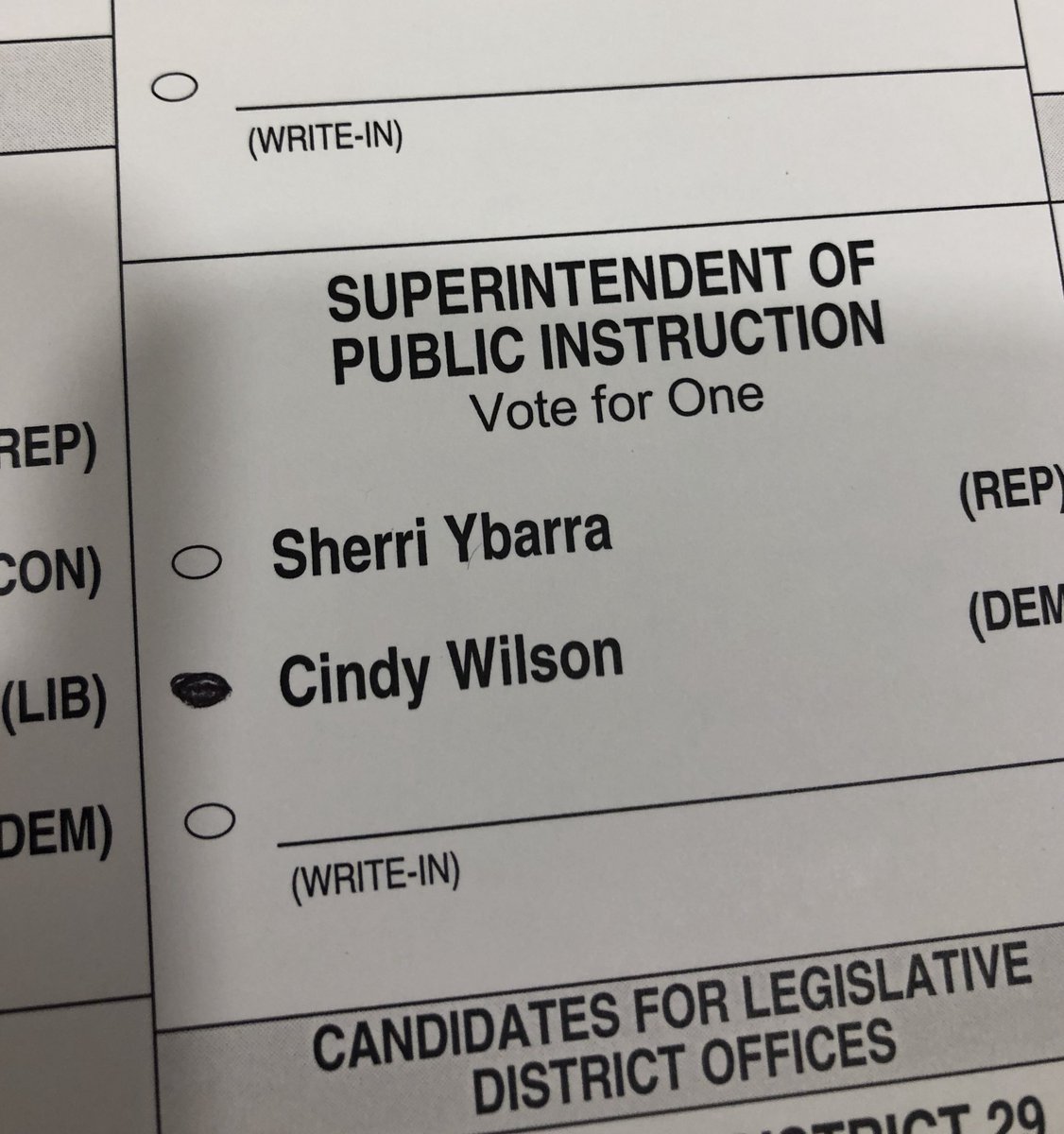 PamelaTeachgov's tweet photo. I voted today! it was my honor to vote for @cindyforschools Cindy Wilson for superintendent of public instruction- it’s your turn get out and VOTE. (FYI- I cross ticket voted) https://t.co/QuGMpkatGC