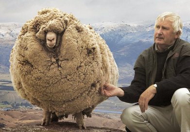 next150years's tweet image. Post #BOOFING