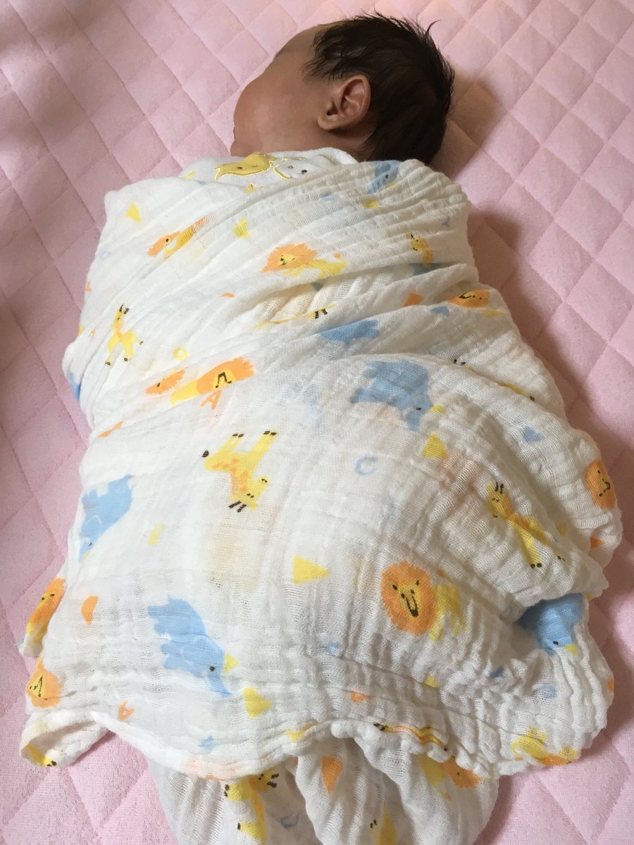 春野たんぽぽ 西松屋のモスリンガーゼは本当に便利だな 1枚700円だし この前地味な柄が値下がりしてて399円だったw ボロけたらハンカチにでもすれば良いし お気に入りのイチゴ柄をもっと買っておけば良かった 人気だからすぐ無くなる 春野たんぽぽ 西松屋のモスリンガーゼは本当に便利だな 1枚700円だし この前地味な柄が値下がりしてて399円だったw ボロけたらハンカチにでもすれば良いし お気に入りのイチゴ柄をもっと買っておけば良かった 人気だからすぐ無くなる
