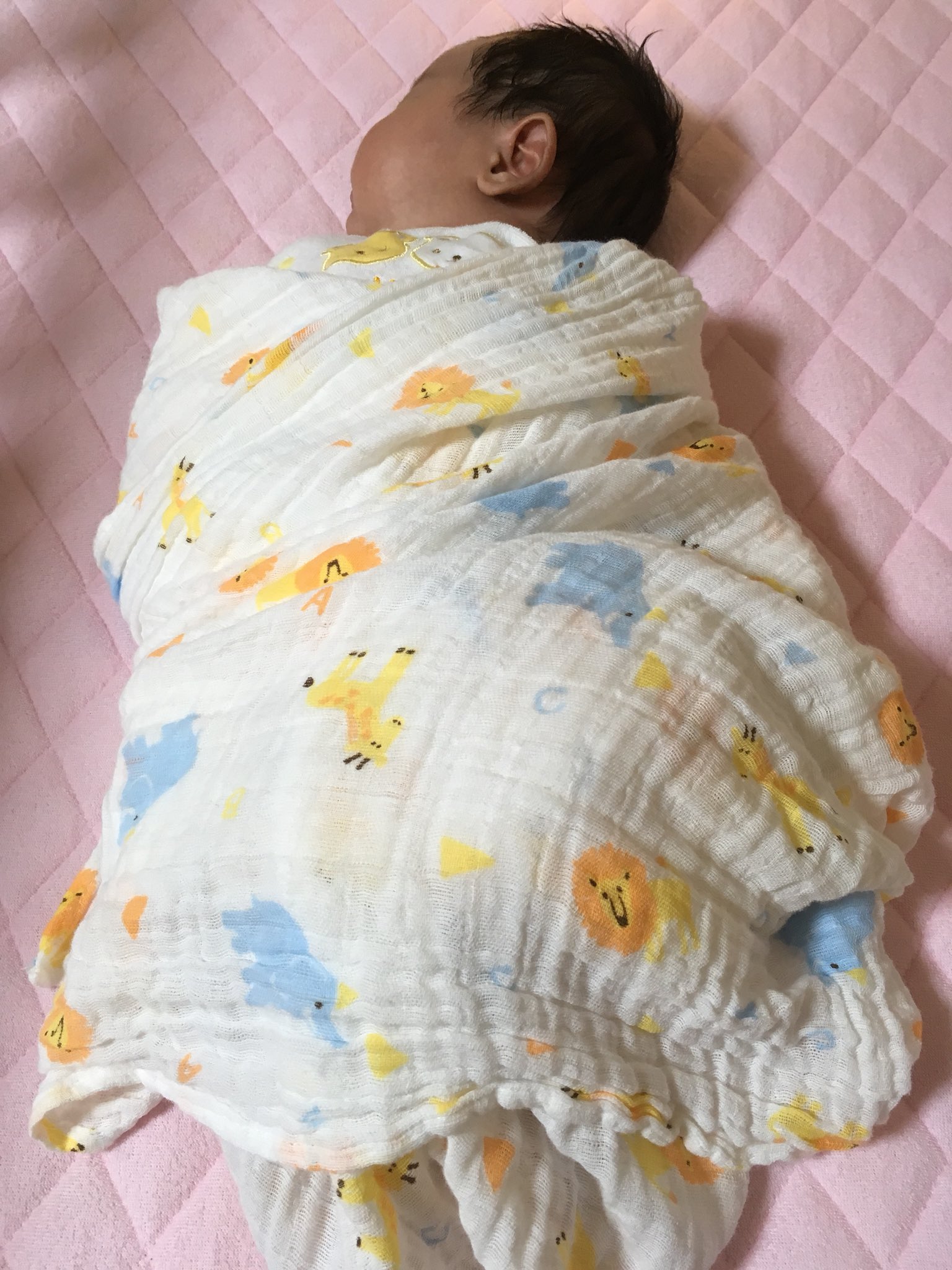 春野たんぽぽ 西松屋のモスリンガーゼは本当に便利だな 1枚700円だし この前地味な柄が値下がりしてて399円だったw ボロけたらハンカチにでもすれば良いし お気に入りのイチゴ柄をもっと買っておけば良かった 人気だからすぐ無くなる 春野たんぽぽ 西松屋のモスリンガーゼは本当に便利だな 1枚700円だし この前地味な柄が値下がりしてて399円だったw ボロけたらハンカチにでもすれば良いし お気に入りのイチゴ柄をもっと買っておけば良かった 人気だからすぐ無くなる