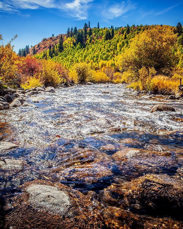 SoPowMatt's tweet photo. I’m in love with #LoganCanyon! ❤️
-
#FALLcolors #autumn #LoganRiver #secretspot #fall #fallleaves #fallleaves🍁🍂 #leaves #fallingleaves #changingcolors #changingseasons #winteriscoming and #POWDERiscoming #utahfall #fallinutah #photography #UTAHphotog… https://t.co/9HE9LVK52U https://t.co/46RlXNc1kj
