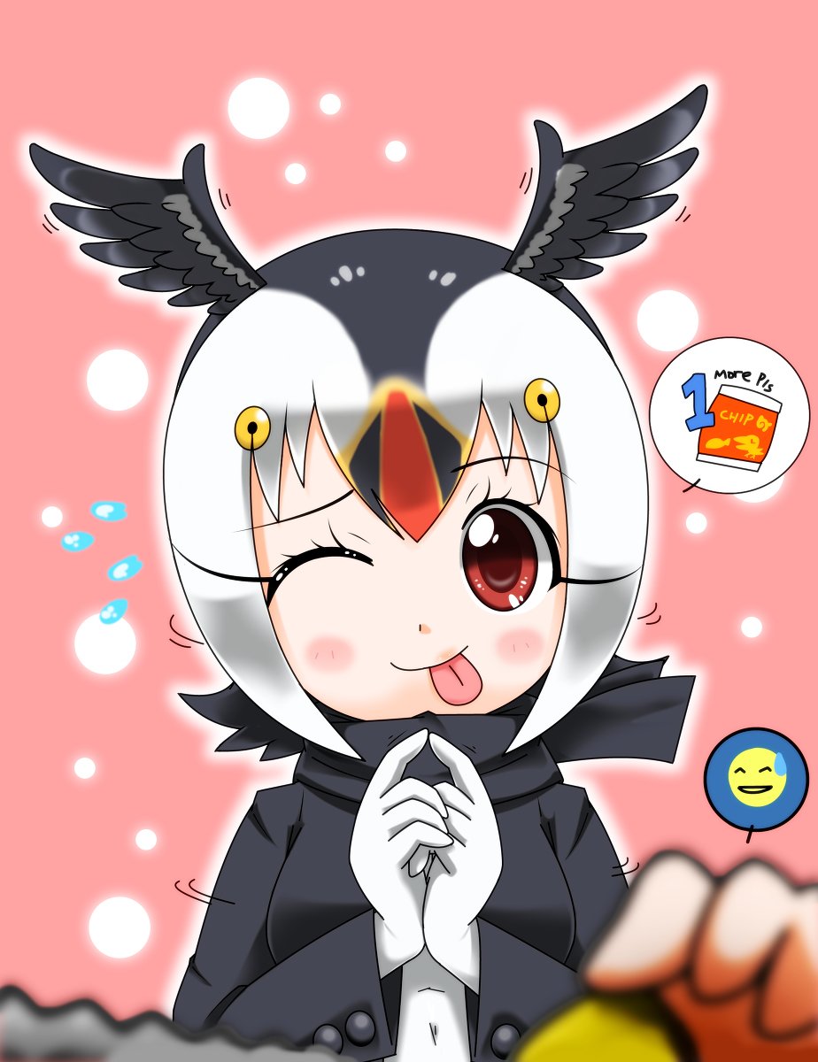 Hoyeechun 1 More Pls けものフレンズ ニシツノメドリ けものフレンズ パフィン けものフレンズ Kemonofriends T Co K9k3qwspbp