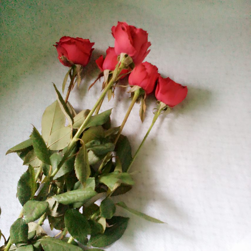 mareztanoy1's tweet image. Don't Be a woman That's
NEEDS a MAN!!!!..,
BE A WOMAN A MAN NEEDS!!!😍🥰

#LoveOnTheBrain 
#missmyself 
#LoveYourself