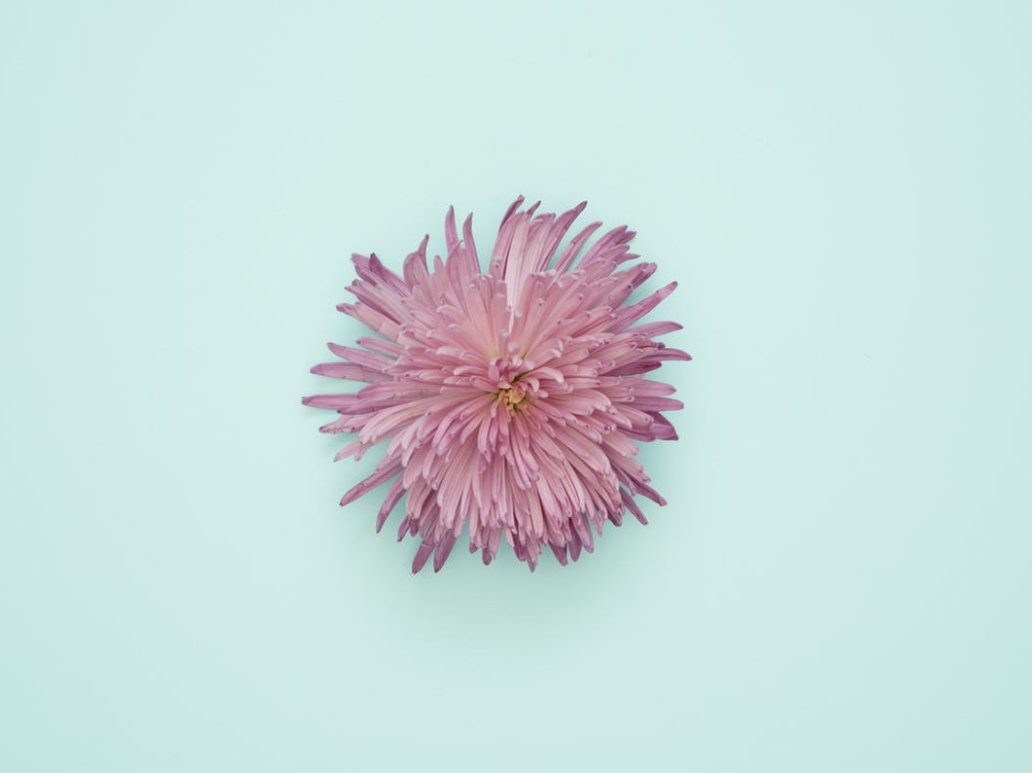 Salt_Journal's tweet image. Open Letter to our Friends: shoutout.wix.com/so/9bMOYziMY#/…

Thank you for sticking with us!! #amwriting #WritingCommunity #writing