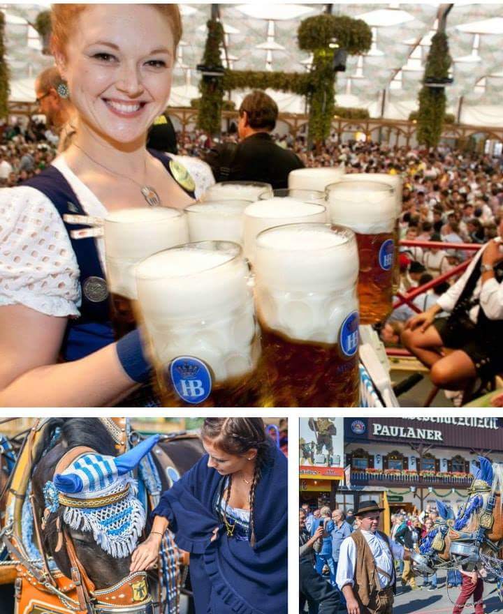 CarinaTejedor's tweet photo. El #octoberfest  en #Munich es el festival de cerveza 🍺 más famoso del mundo. Música en directo, carrozas, trajes tradicionales y una gran variedad de la cocina alemana. https://t.co/Djz1a4FvpL