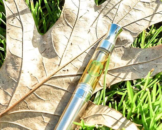 DragonExtracts's tweet photo. Summer is end and we dont care! Croptober is around the corner, so bring on the Cannabis!

Ask us about our terpenes! 
*
21+
OLCC Licensed https://t.co/dTlGoYFupr