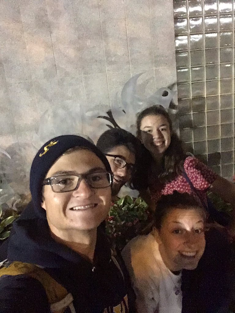 GochiMichael's tweet photo. Mario #5 #itsastatue #dragoncatholic @DNLockIn18 https://t.co/PHKPCUTzM1