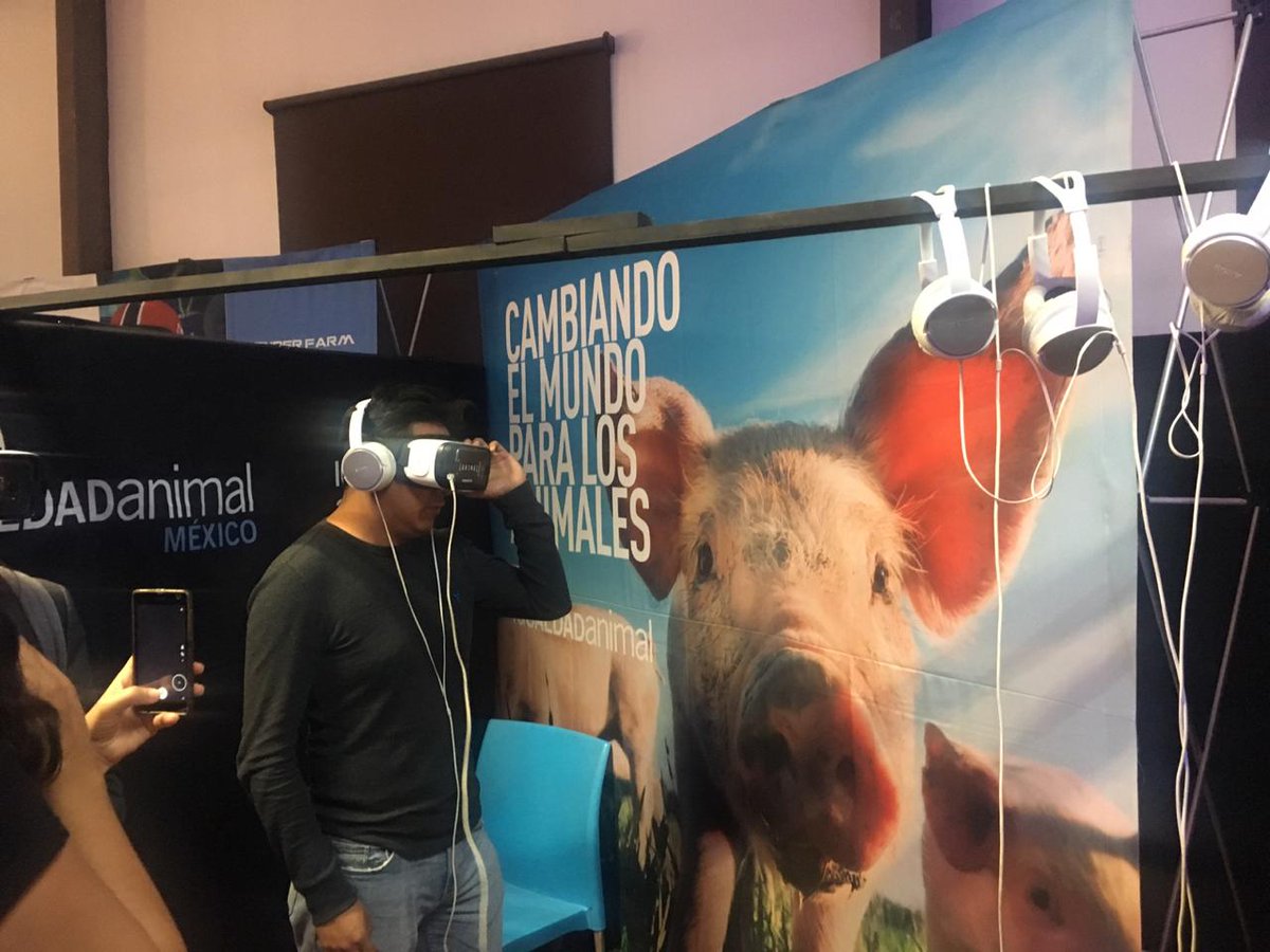 SeagateLATAM's tweet photo. Terminamos el primer día del @vrfestmx conociendo increíbles aplicaciones de la Realidad Virtual en diversos campos.
#VCOMEVIRTUAL #SeagateLATAM #VRFestMX #SeagateVR #VRFestMX2018 https://t.co/vFbBJ408wC