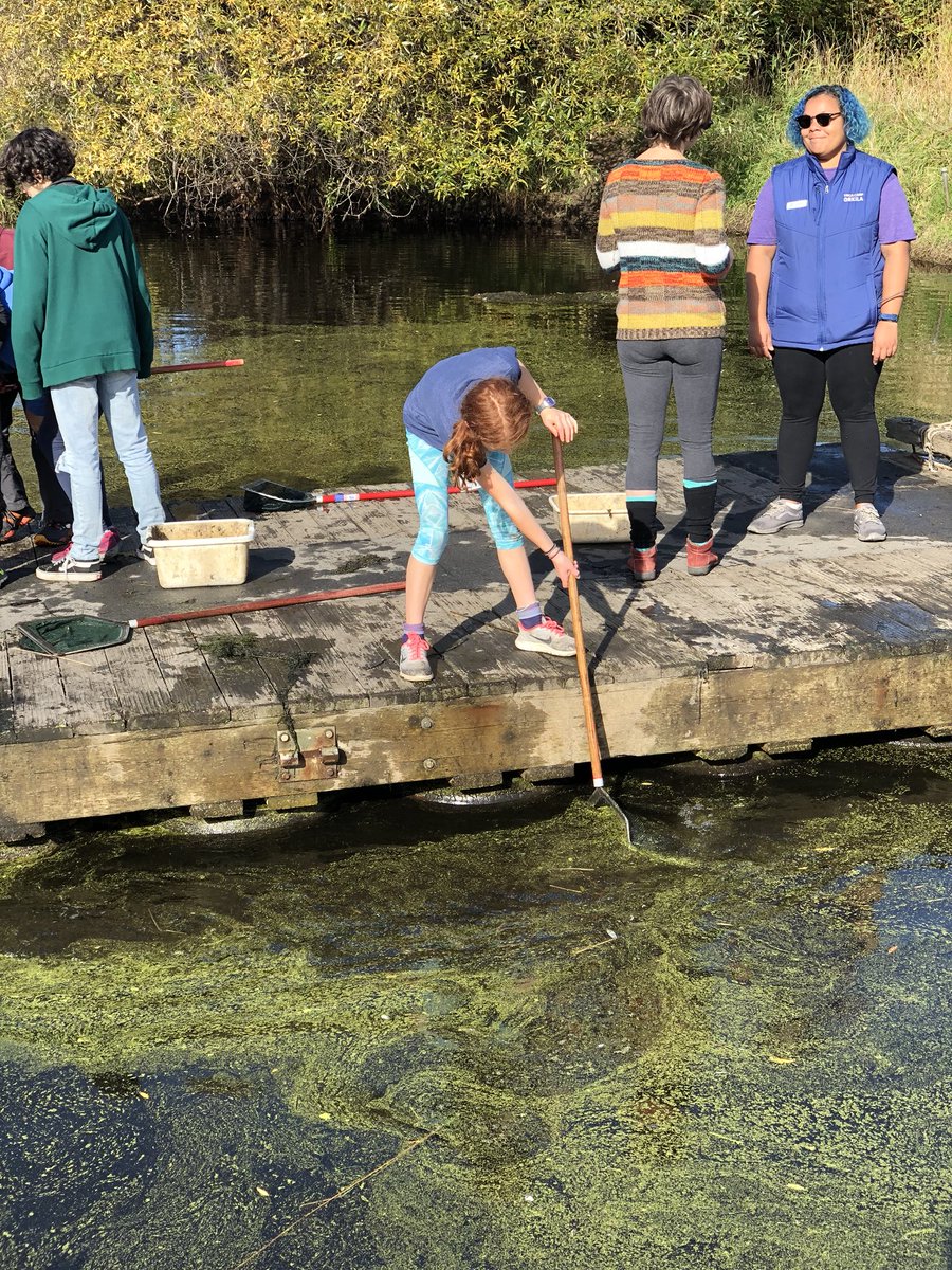 Super weather and great students.  Glad to experience the pond and beyond at Camp Orkila with 6th graders. #spsconnects  #greatoutdoors