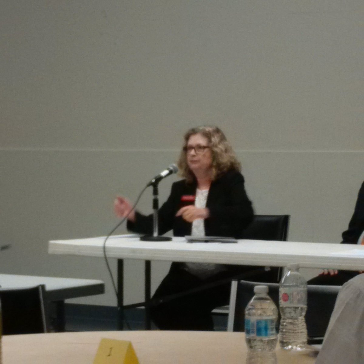CPFSurrey's tweet photo. Great to see @CharlenePDobie answer questions on recruiting more FI teachers at @dtsurreybia trustees debate. https://t.co/gl42QkhJhs