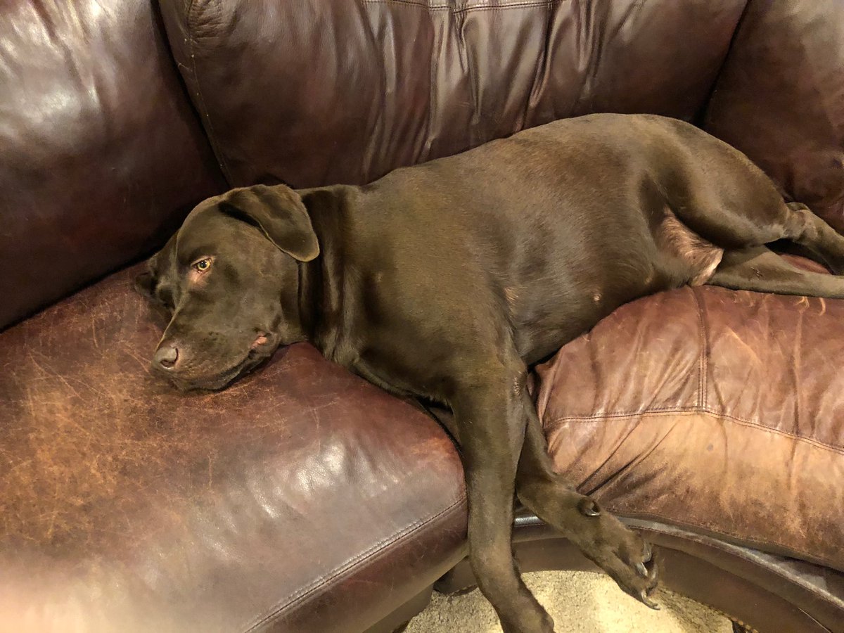 sshellen01's tweet image. Do not be sleeping on Penn State!  Always ready to go!