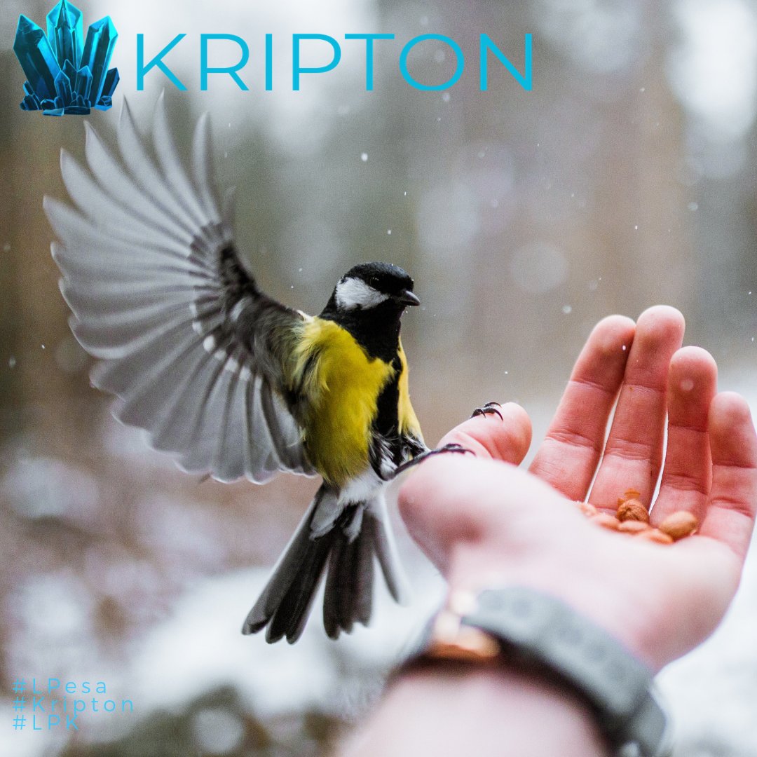 lpesamicroloans's tweet photo. "I borrow a small amount of money and was scared to go to the bank. I used to think the bank workers will not take me seriously. Now, I no longer feel any shame or embarrassment because of L-Pesa. Thank God."
#toTheMoon #toKripton #TeamLPK #LPK #Kripton #Mercatox #Buy #HODL https://t.co/BVv9STjhrb