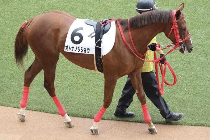 オトナノジジョウ という名前の競走馬が話題に ちなみに母は リャクダツアイ 祖父は グラスワンダー まとめダネ