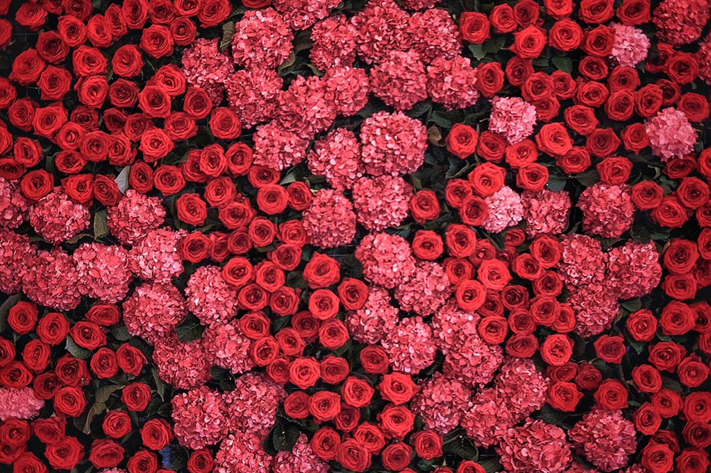 Alco_Guerrero's tweet photo. So who do you wanna see rock the red tonight?!
#ABSCBNBall2018 https://t.co/KEQWPva31E