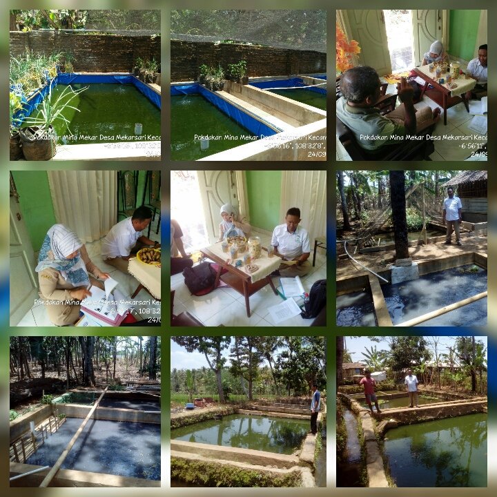 cattelya3's tweet photo. (24/9/18) ppb kab.kuningan mmfsilitasi pokd.mina mekar ds.mekarsari cipicung akses prmodalan LPMUKP @fisheris_ @puslatluhkp @dpp_ipkani https://t.co/tpgjHEncVS