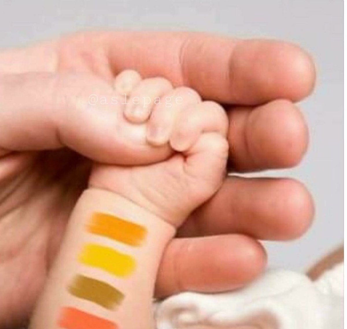 Nooop La Bebe De Kylie Jenner Eligiendo Que Papilla Comer Nooop La Bebe De Kylie Jenner Eligiendo Que Papilla Comer