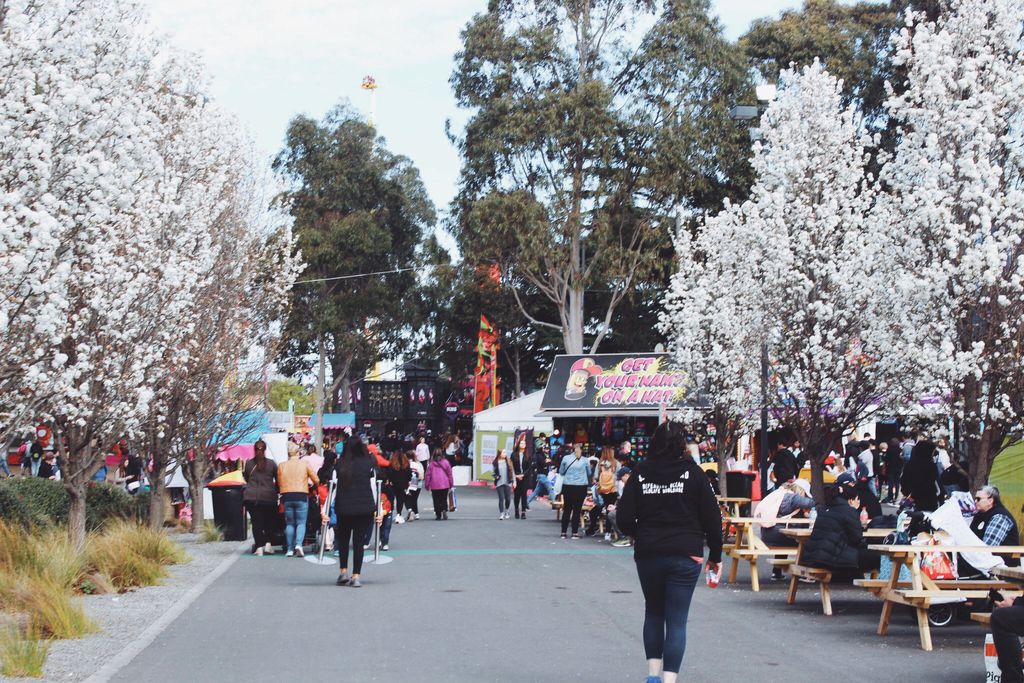 trislynnchan's tweet photo. 今年的 Royal Melbourne Show 很漂亮，因为到处都是刚盛开的花！谁说只有漂亮的女孩爱赏花？我们的 Louis 大家姐也爱好吗😍 https://t.co/23Jns1dok3