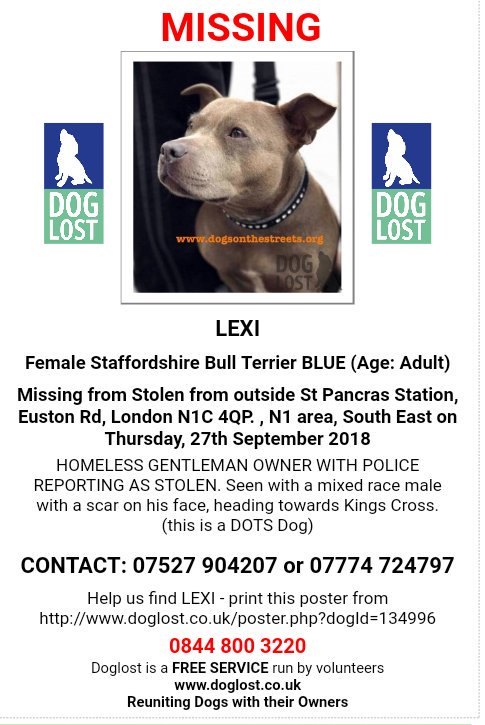 MissingPetsGB's tweet image. 🐕 Possible suspect name given to police👇
LEXI staff bull terrier was #STOLEN from outside St Pancras Station, Euston Rd #London #N1C

❗Seen with a mixed race male with a scar on his face, heading towards Kings Cross❗

Has HOMELESS GENTLEMAN OWNER HAS POLICE REPORT AS STOLEN.