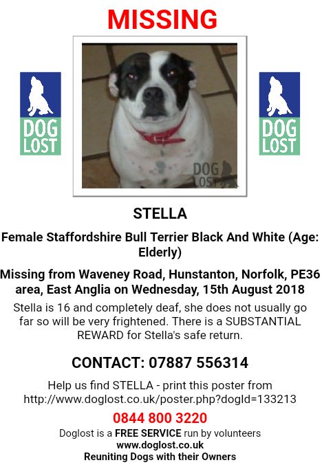 MissingPetsGB's tweet photo. 🐕 elderly Stella is Still #missing 
fully deaf &amp; 16 years old 
Last seen 15 Aug 18 in Waveney Road, #Hunstanton #Norfolk #PE36 
Will be very frightened.
SUBSTANTIAL REWARD for Stella's safe return.
No sign despite searches😢 https://t.co/zyAErK91qi