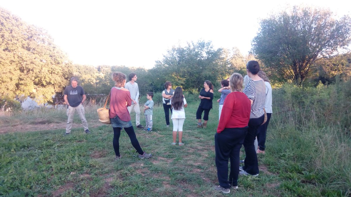 Joan Naspleda tweet media