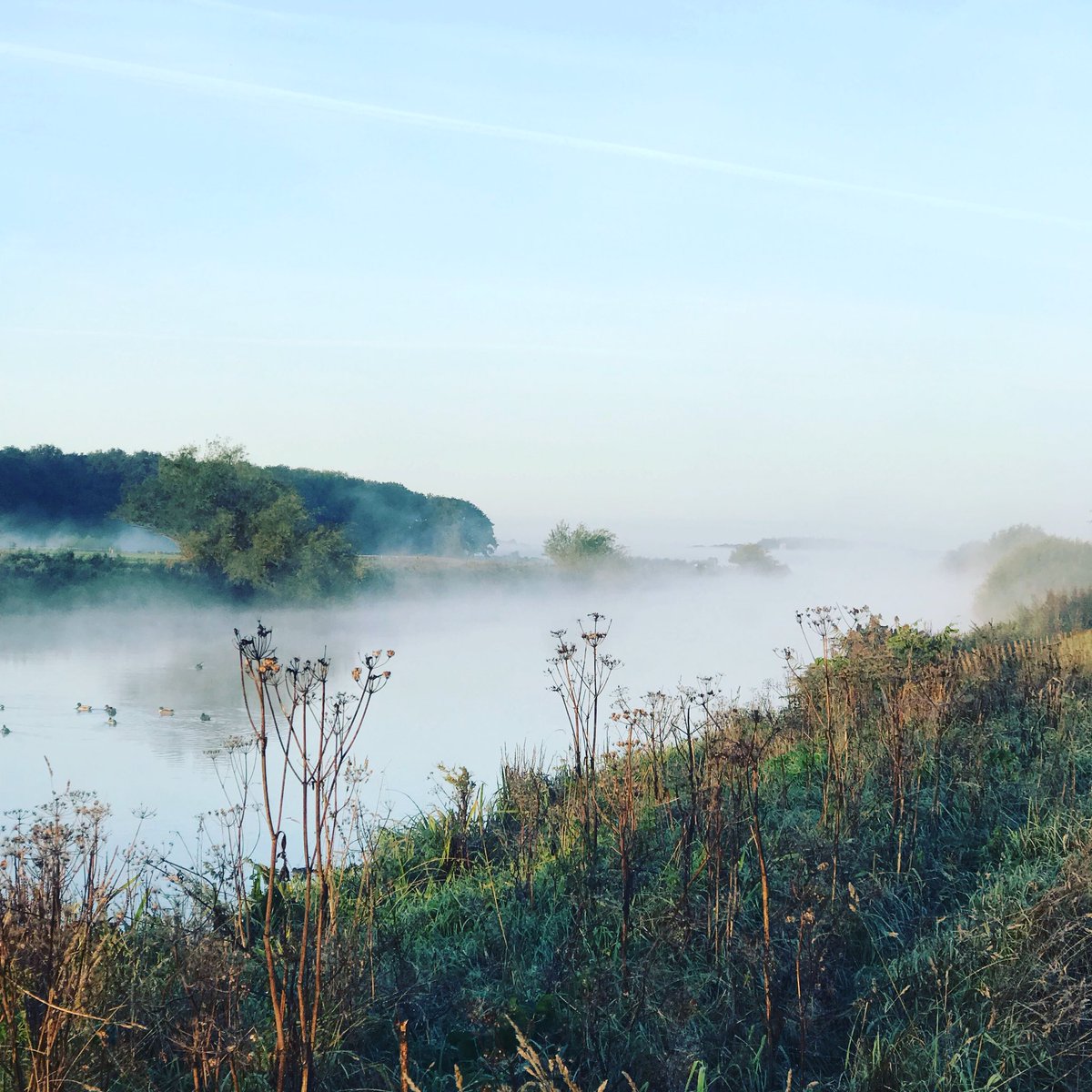 Mist en zon, mooie start.
#weekend