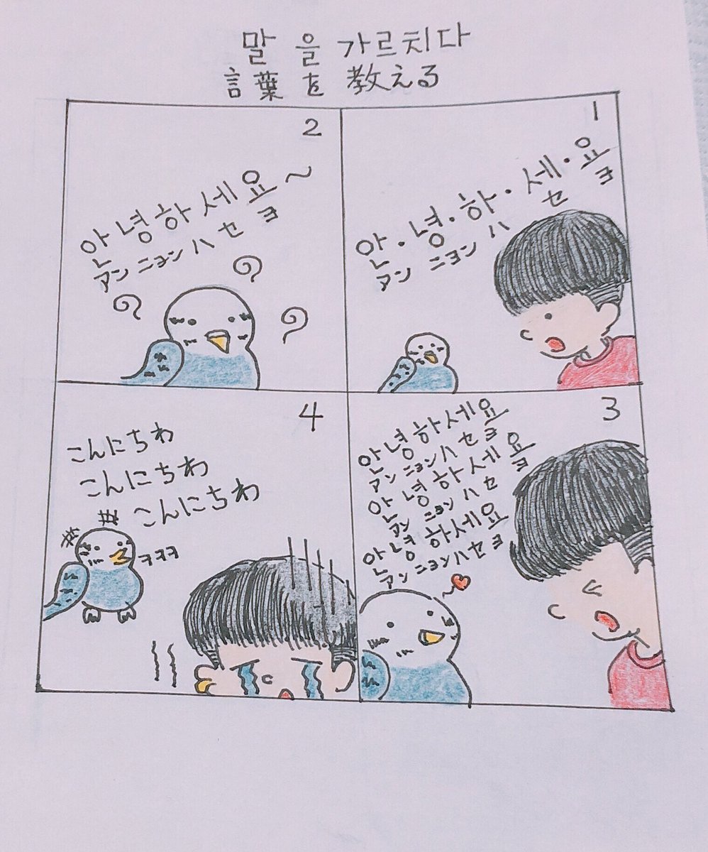 ট ইট র ミンススタジオ チョコとミンスの漫画 インコ インコ漫画 四コマ漫画 漫画好きと繋がりたい イラスト王国 1日1絵 キャラクター オリジナル オリジナルイラスト ハンドメイド好きさんとつながりたい 可愛いと思ったらrt かわいい 落書き 秋