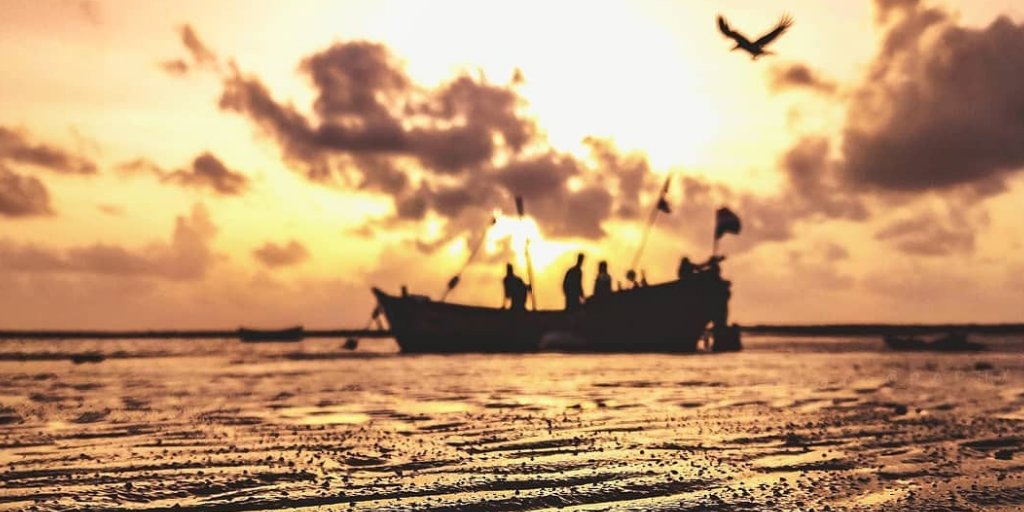 palgharsearch's tweet photo. "Once you see results it becomes addiction."
#palgharsearch #dahanubeach #beach #quote #palghardistrict #nature #picoftheday #tweeter #naturetweet #palghar #kelwa #saphala #boisar #dahanu https://t.co/cZYyIdZb0i