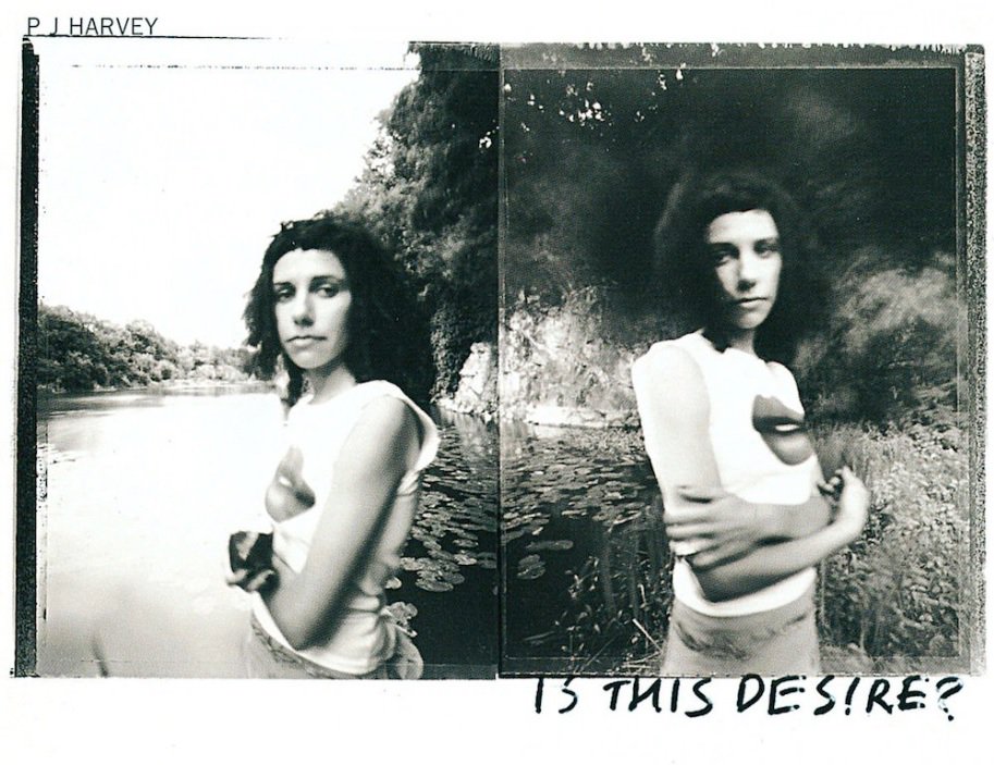 Happy 20th birthday to PJ Harvey\s undersung masterpiece. What a magnificent album 