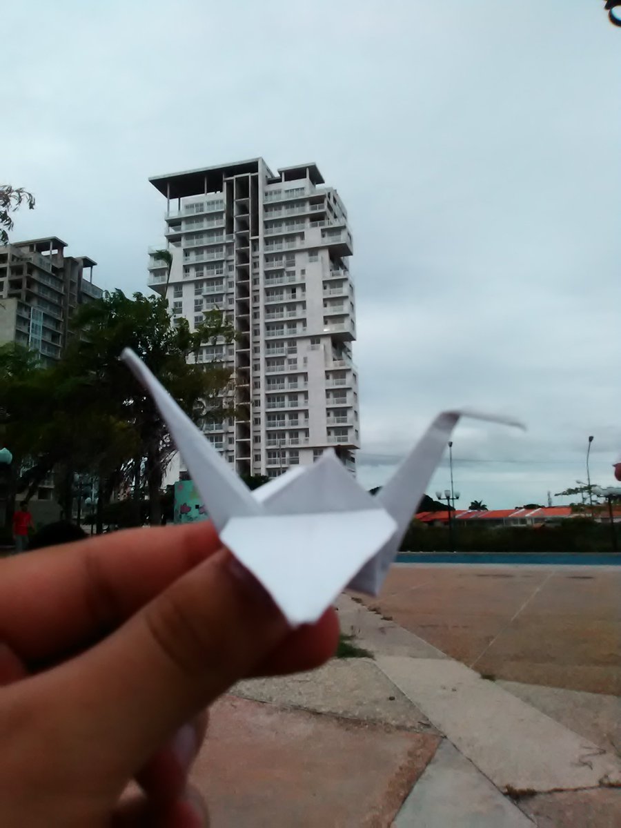 dvalpx's tweet photo. El domingo pasado fui a un evento donde una de las actividades era hacer origami. Fue bastante difícil y estuve a punto de rendirme, pero luego de una dura batalla la figura salió. A veces lo importante es simplemente intentarlo. https://t.co/ATcMT6ftE5