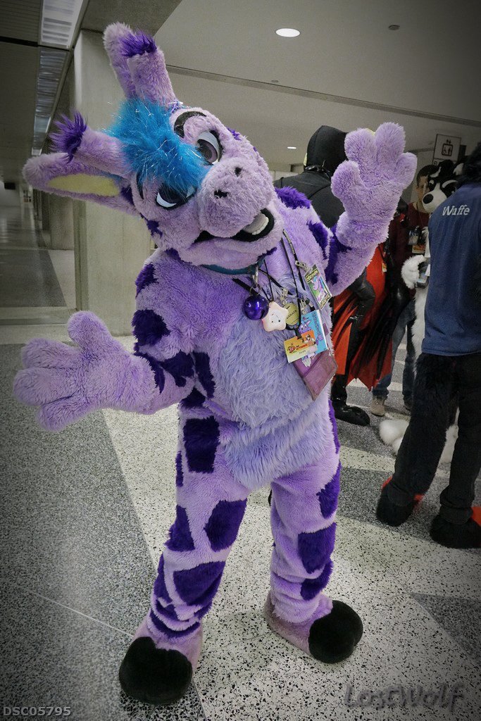 LostWolf321's tweet photo. One cute giraffe @Zarafagiraffe @furcon #FC2016 :-) https://t.co/qHwdbDNkUL