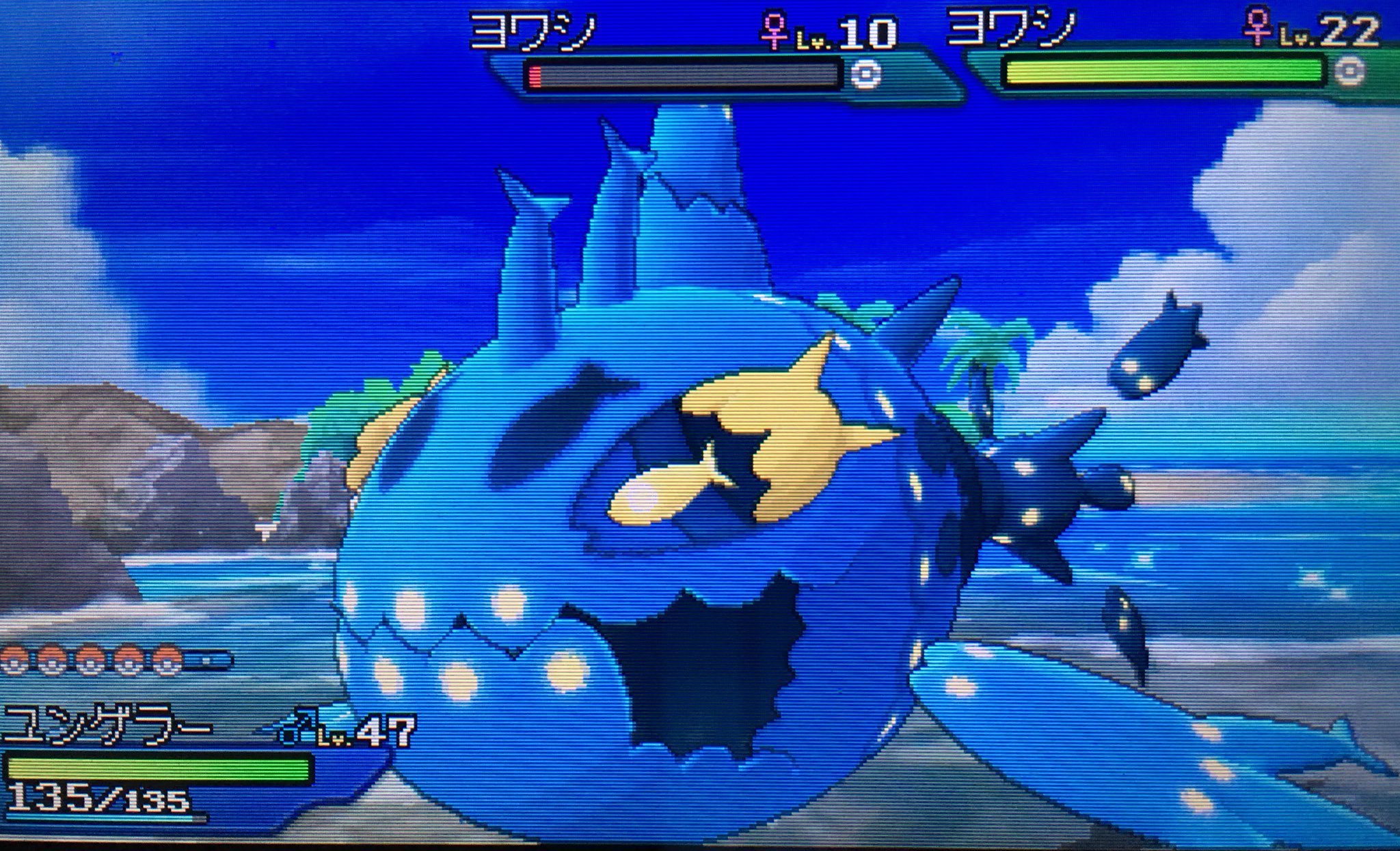ポケ弾正 剣盾tnゆきなが 単独の姿はこちら すこ し黄色ががってます 色違いポケモン ヨワシ T Co 0a93zlrkd3 Twitter