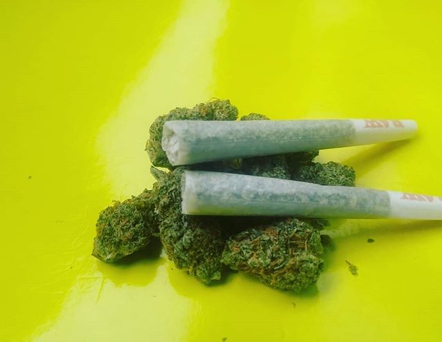 neobitechnology's tweet photo. T.G.I.F - I pray everyone has had a awesome FRIDAY so far!! NOW lets smoke!! #TasteOfLeaf #letssmoke #burnone #Spokane #OKC #goodvibesonly #tastytreat #organic #rawpapers #weedlovers #ittakestwo #cannabiscommunity #jointlover #keepitraw #cannabis #jetlif… https://t.co/ffyOwbCsyX https://t.co/UGRCptAIfM