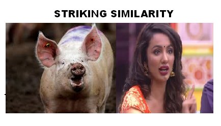 DoPJwx2U0AAsi4O?format=jpg