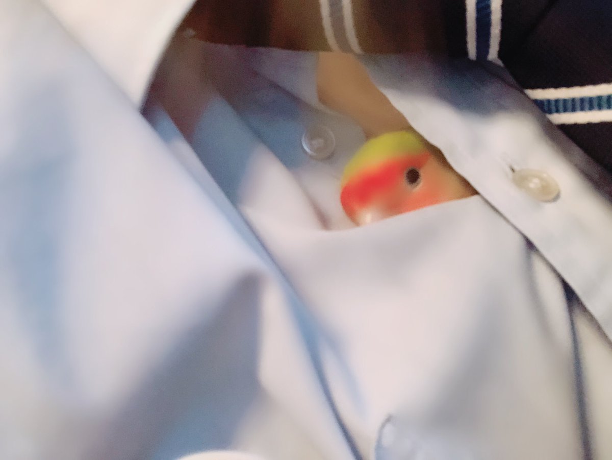 0704naR's tweet photo. 大好き忘れない https://t.co/iENo2WoMmm