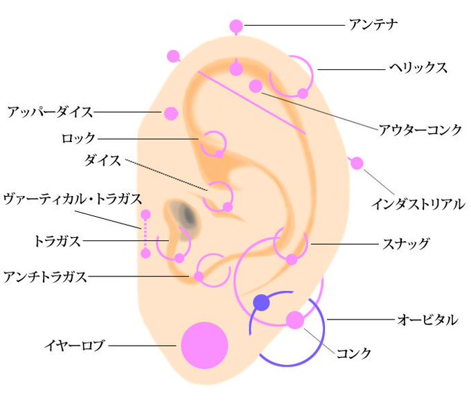 ピアス(face)の場所と名称貼っとく https//t.co/Dwv0gw0dQy