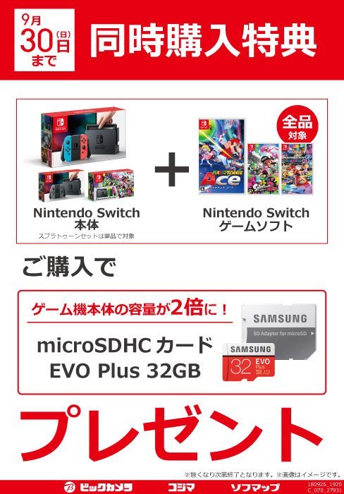 ユーザー 大洪水 協同 ビックカメラ Sd カード 最後に 扇動する 先住民