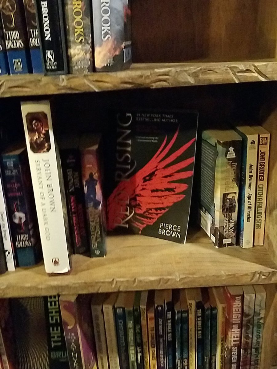 NennaLea's tweet photo. @Pierce_Brown is it a good sign or bad sign that they only have one copy of #RedRising? https://t.co/cV584KtLmg