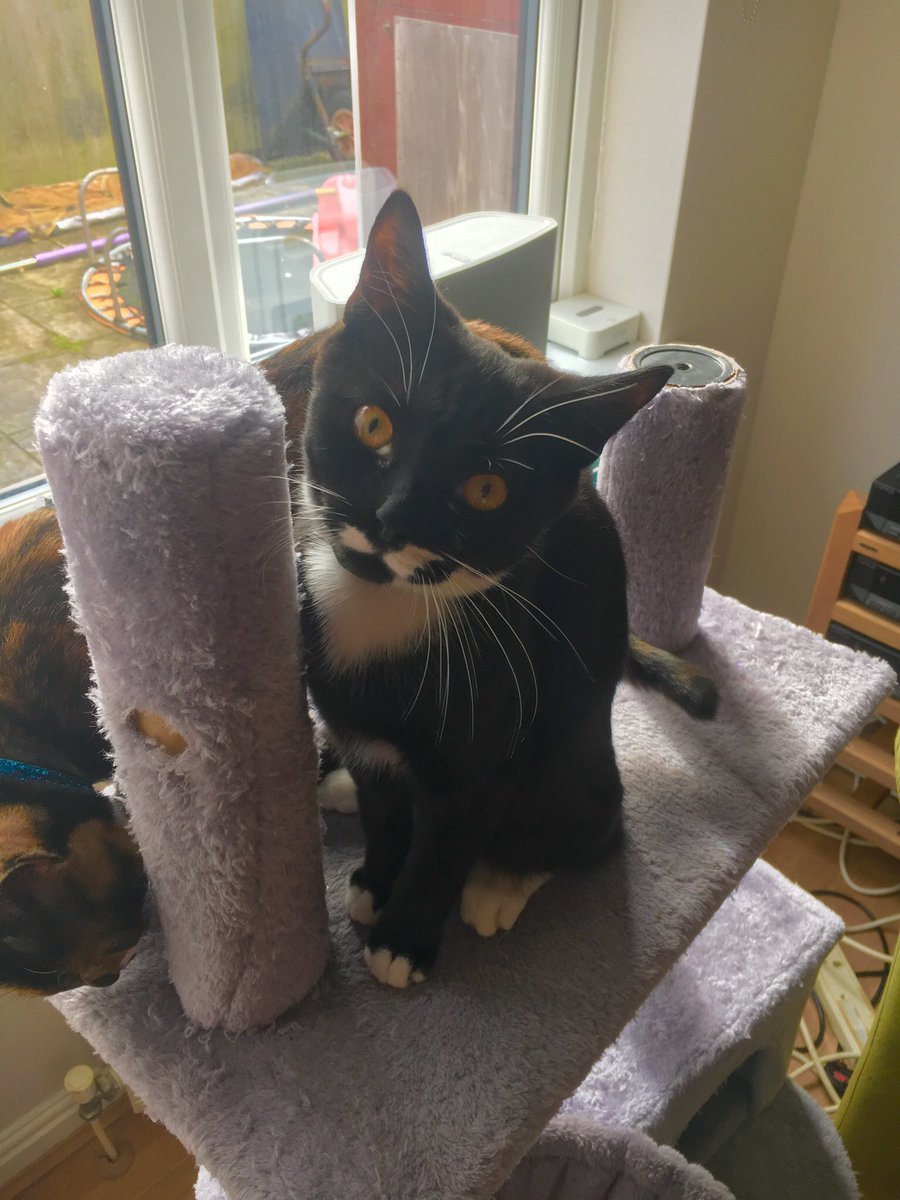 Family Law Clinic UK (FamilyLawClinic) Twitter