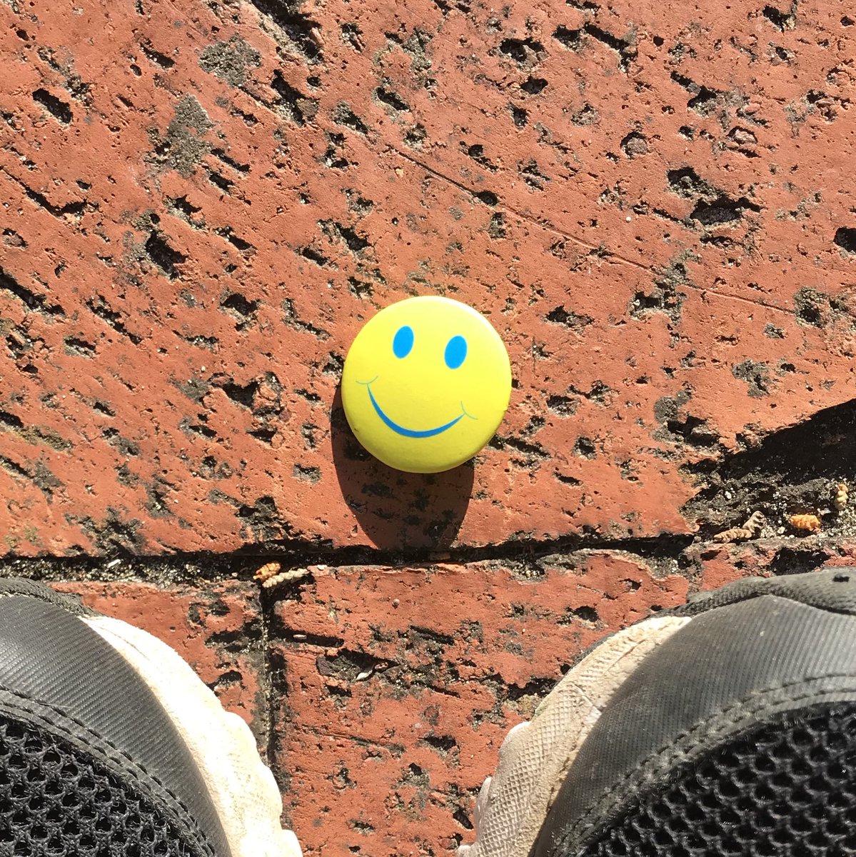 Ready for fun Vine to Valley run (walk) in #hemelenaarde at Bosmans Vineyards Hermanus! #SaturdayMotivation