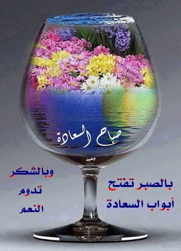 p_ozv's tweet photo. https://t.co/or85JhIauu