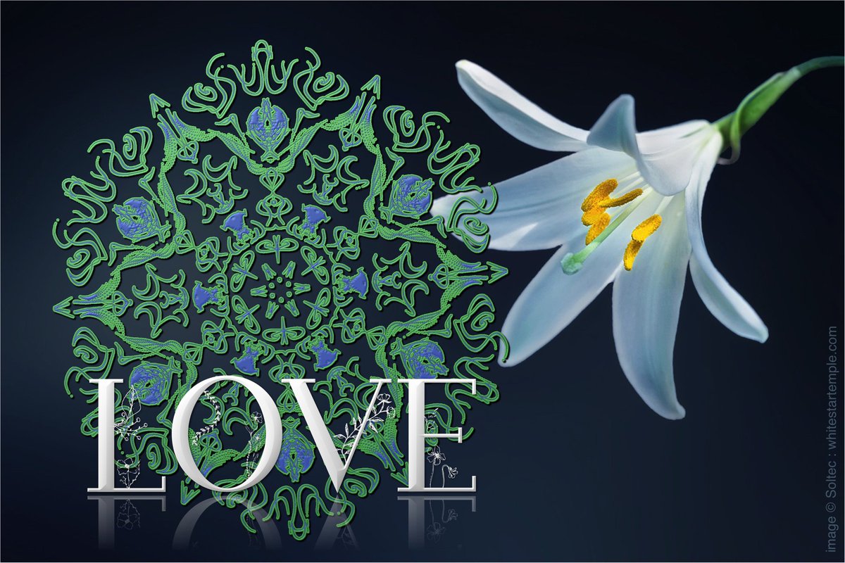 WhiteStarTemple's tweet photo. There are coordinates of your #love everywhere
#beauty #flower #spiritual #mandala https://t.co/j0RO2eNKJK