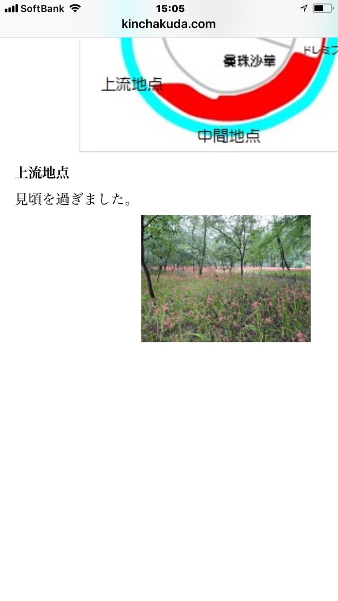 jintingting's tweet photo. 埼玉県巾着田の彼岸花の見頃が過ぎたとホームページで確認ができても、クラブツーリズム[赤の絶景！500万本巾着田ヒガンバナ]というツアーが催行すると担当者がそう言う、おかしくて、納得が出来ません。騙された、詐欺でしょう！ https://t.co/Pd1ChK4Uwc