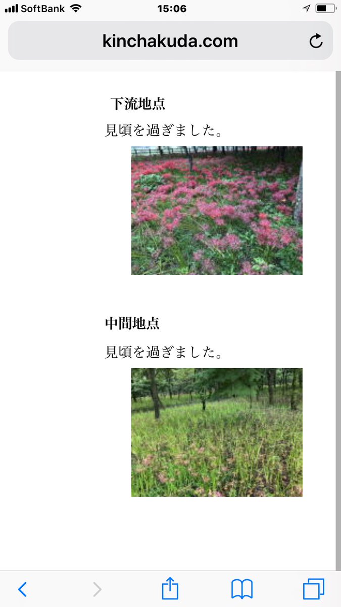 jintingting's tweet photo. 埼玉県巾着田の彼岸花の見頃が過ぎたとホームページで確認ができても、クラブツーリズム[赤の絶景！500万本巾着田ヒガンバナ]というツアーが催行すると担当者がそう言う、おかしくて、納得が出来ません。騙された、詐欺でしょう！ https://t.co/Pd1ChK4Uwc