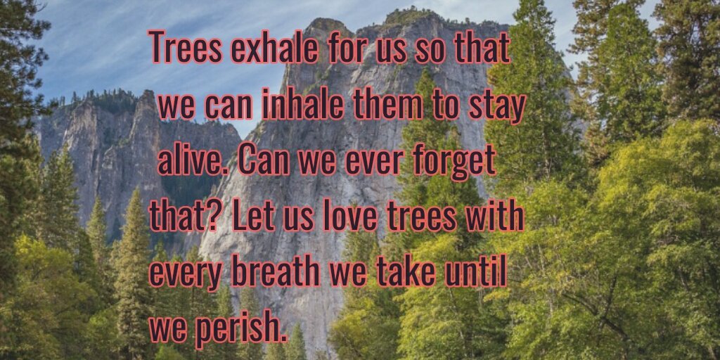 wahid447's tweet image. #pyef #GreenSchools