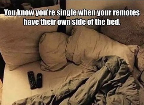 IABorderFarmer's tweet photo. Sooooooooooo damn true!! 😂 #TooSingle https://t.co/Cd3A923yNk