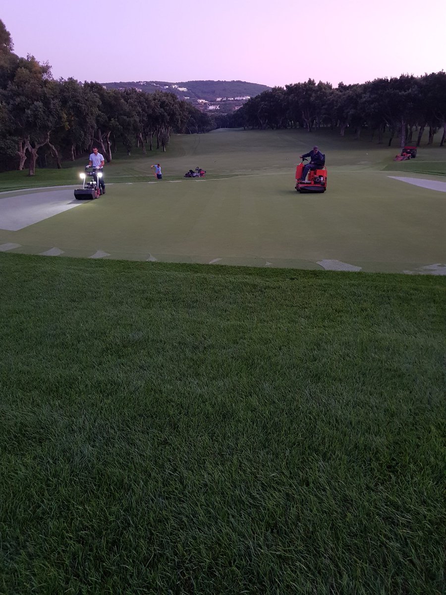 AgronomyRCV's tweet photo. Tall fescue antegreens, happy with the results after 2 years. It is no easy sometimes (shade, too many trees, luck of air, fertilize, too much traffic, pest, density, warm weather...) but the power of its regeneration it is one of its characteristics. @valderramasters https://t.co/BGhSu3sRZ8