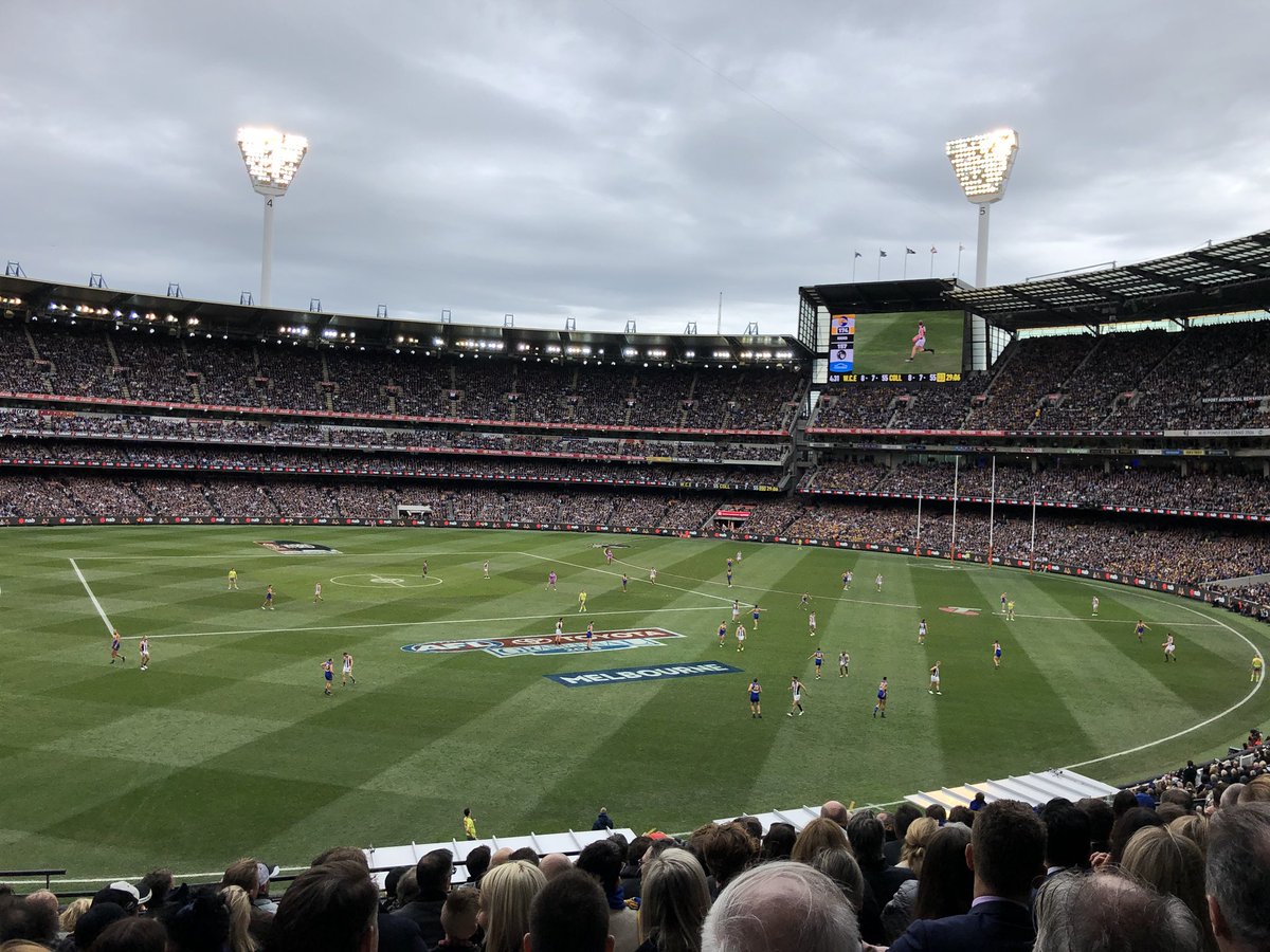 jeznicholas's tweet photo. Awesome GF! Hope the Eagles can bring it home https://t.co/x1ag1kNRL8