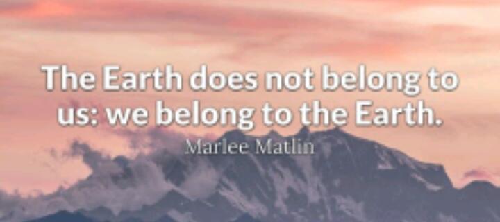 wahid447's tweet image. #pyef #GreenSchools